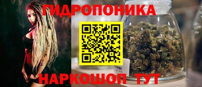 дурь Заводоуковск