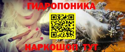 дурь Заводоуковск