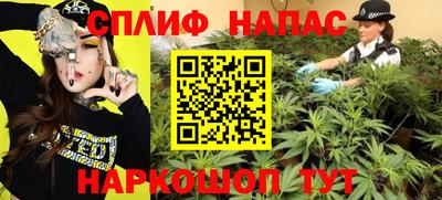 дурь Заводоуковск