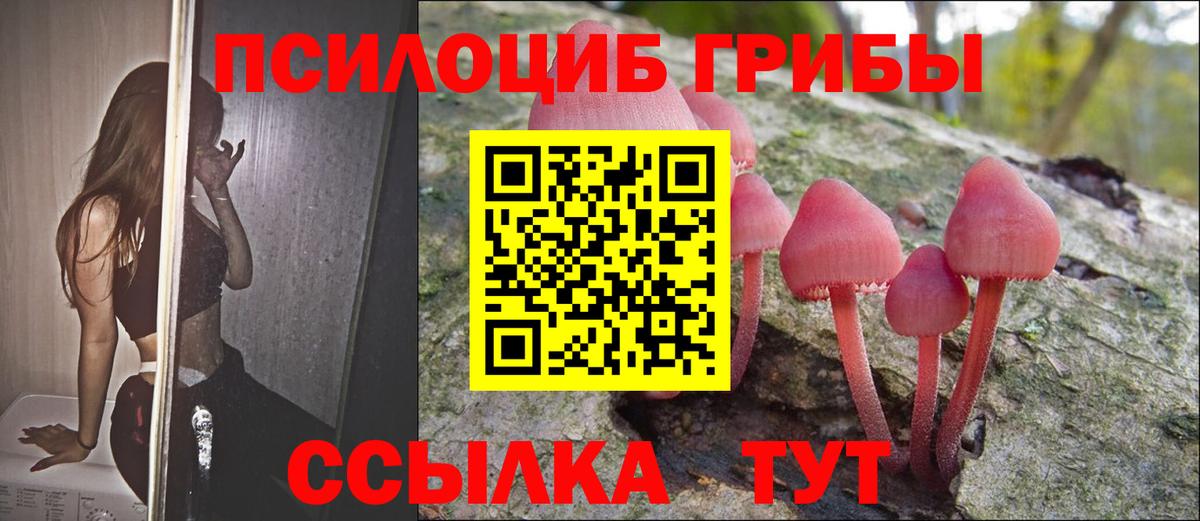 Мариинск  Псилоцибиновые грибы MAGIC MUSHROOMS  Вход с VPN 