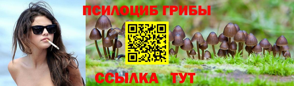Псилоцибиновые грибы GOLDEN TEACHER Мариинск